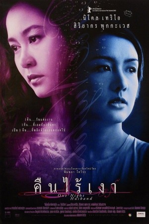 คืนไร้เงา (2003) One Night Husband