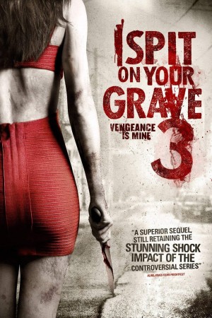 เดนนรก ต้องตาย 3 (2015) I Spit on Your Grave III: Vengeance Is Mine